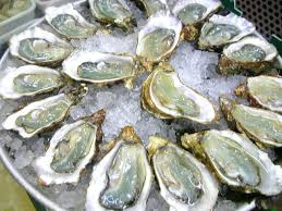 oysters